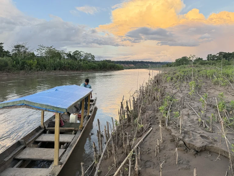 Tout savoir pour planifier votre excursion en Amazonie Bolivienne